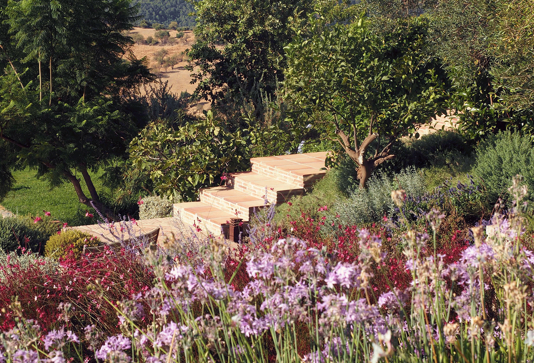 The Well Tempered Garden